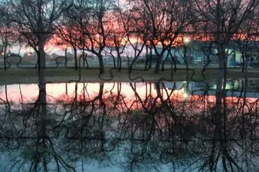 Atardecer en LujÃ¡n de Cuyo. Mendoza. Argentina jigsaw puzzle