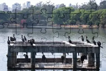 Parque Ibirapuera - São Paulo - SP