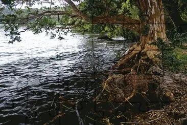 PN Los Arrayanes. NeuquÃ©n. Argentina jigsaw puzzle