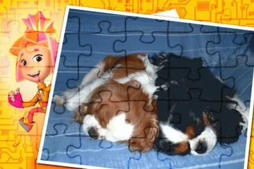 Flavie et Dana jigsaw puzzle