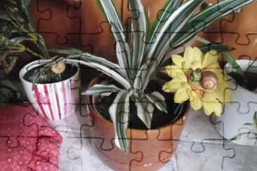 NATURALESA jigsaw puzzle