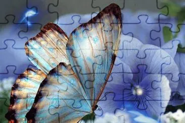 voo azul jigsaw puzzle