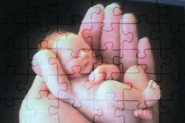 bebe jigsaw puzzle