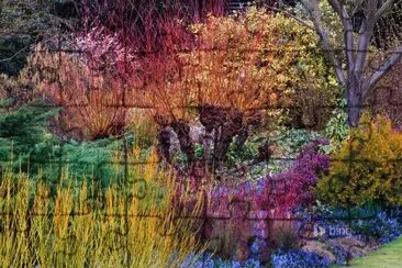 Botanic Gardens Cambridge England jigsaw puzzle