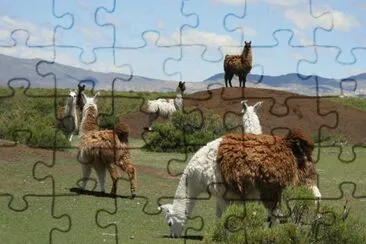 En la Provincia de Jujuy. Argentina jigsaw puzzle