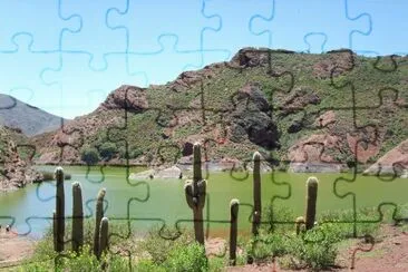 Laguna del Brealito. 2550 msnm. Salta. Argentina jigsaw puzzle