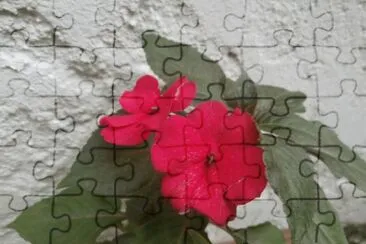 MIS FLORES jigsaw puzzle