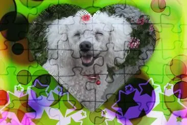 MASCOTA jigsaw puzzle