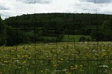 Prairie de fauche(Theux-East Belgium)