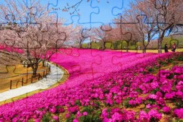 115 jigsaw puzzle