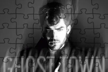  jigsaw puzzle