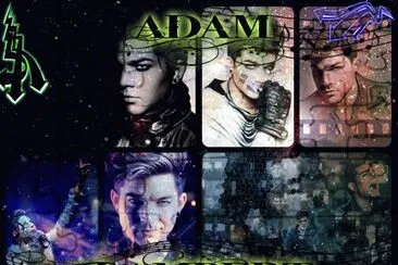 פאזל של Adam Lambert