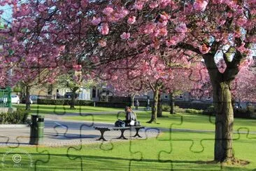 Under Blossom jigsaw puzzle