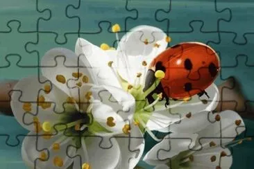 coccinella jigsaw puzzle