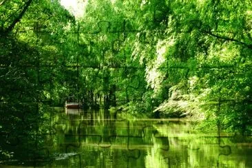 El Delta en la Provincia de Buenos Aires. Argentina