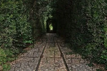 TÃºnel vegetal en Andonaegui. Buenos Aires. Argentina