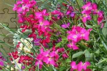 פאזל של Spring flowers