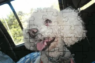 MASCOTA jigsaw puzzle