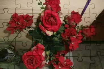 ROSAS jigsaw puzzle