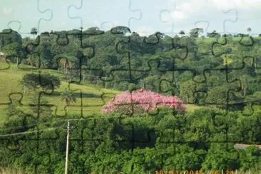 Bela Natureza jigsaw puzzle