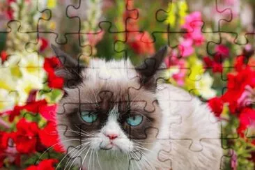 . jigsaw puzzle