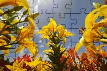 70 jigsaw puzzle