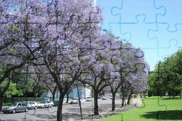 Rosario. Santa Fe. Argentina jigsaw puzzle