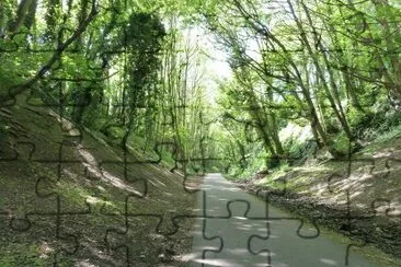 Rodwell trail jigsaw puzzle