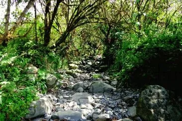 En la Provincia de TucumÃ¡n. Argentina