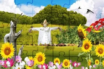 campo jigsaw puzzle