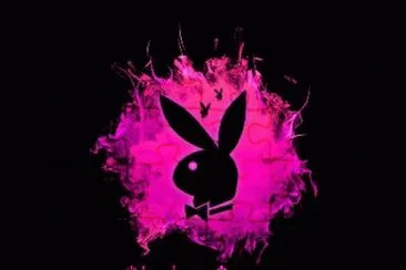 pink  play boy bunny