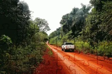 En la RN 101. Misiones. Argentina