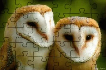 . jigsaw puzzle