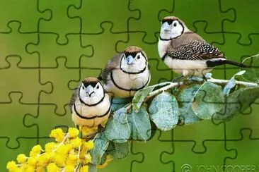 . jigsaw puzzle