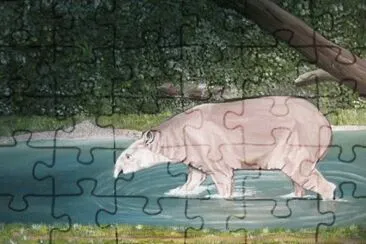 TAPIR jigsaw puzzle