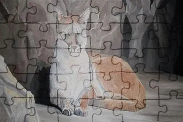 PUMA jigsaw puzzle