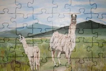 LLAMAS jigsaw puzzle