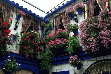 vivienda floral