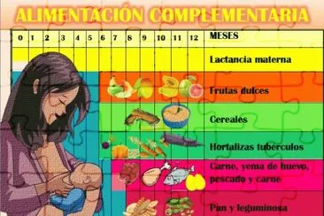 ALIMENTACIÃ“N COMPLEMENTARIA 2