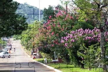 El Soberbio. Misiones. Argentina