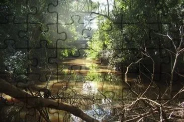 Cerca de Puerto Canoas. Misiones. Argentina jigsaw puzzle