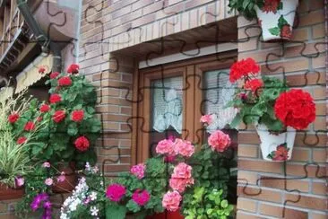 casa con flores2