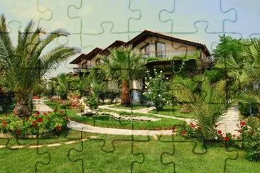 NÂº 1143 jigsaw puzzle