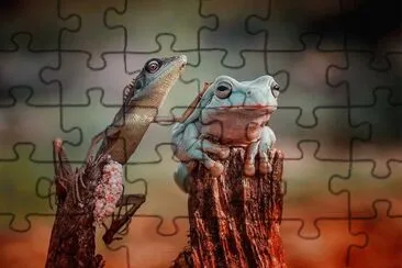 . jigsaw puzzle