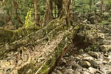 Cherrapunji. India