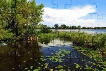 פאזל של Esteros del IberÃ¡. Corrientes. Argentina