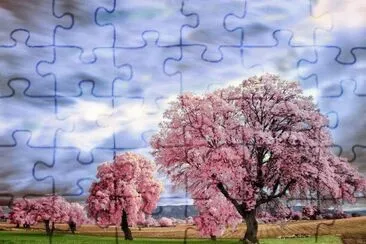 NÂº 1185 jigsaw puzzle