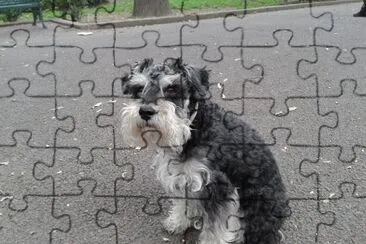 chat jigsaw puzzle