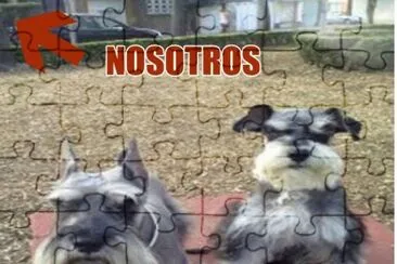 chato jigsaw puzzle