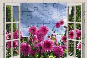 338 jigsaw puzzle